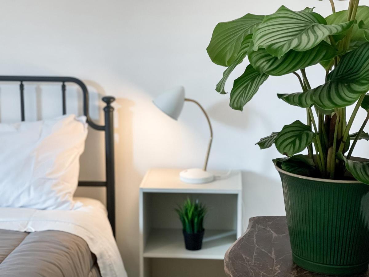 Sestio House Apartment Roma Exterior foto